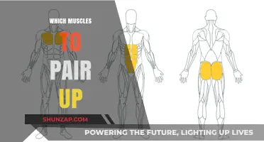 Building Muscle: The Perfect Pairing Strategy