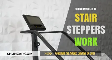 Stair Steppers: Targeted Muscles for Lower Body Strength and Tone