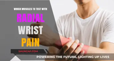 Radial Wrist Pain: Key Muscles to Assess for Effective Diagnosis