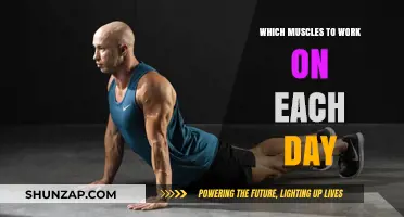 Optimize Your Workouts: Daily Muscle Group Targeting Guide