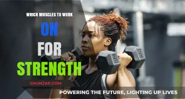 Building Strength: Key Muscles to Focus On for Optimal Power
