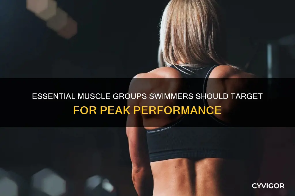 which muscles to work out for swimmers