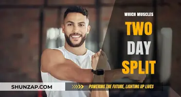 The Ultimate Two-Day Muscle Split