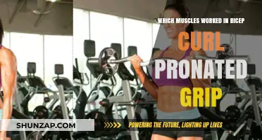 Pronated Grip Bicep Curl: Muscles Engaged and Benefits Explained