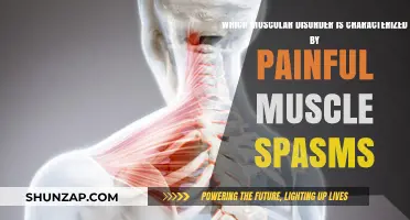 Understanding Dystonia: The Muscular Disorder Causing Painful Muscle Spasms