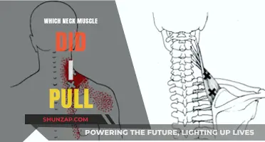 Identifying and Treating a Pulled Neck Muscle: Causes and Relief