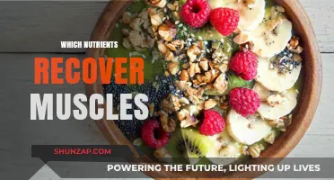 Muscle Recovery: The Essential Nutrients You Need