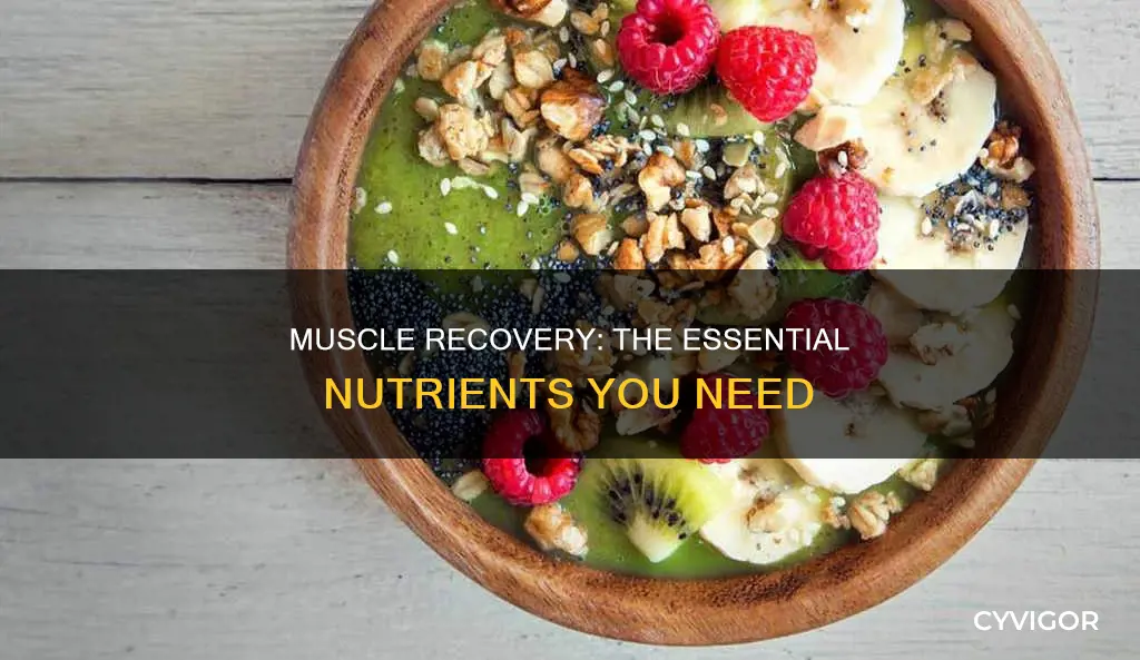 which nutrients recover muscles