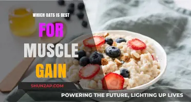 Best Oats for Muscle Gain: Top Picks and Nutrition Tips