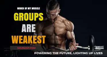 Identify and Strengthen Your Weakest Muscle Groups for Balanced Fitness