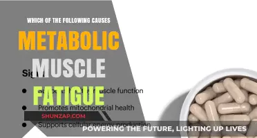Understanding Metabolic Muscle Fatigue: Causes and Contributing Factors