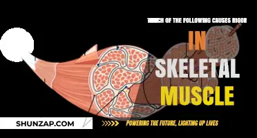 Understanding Rigor in Skeletal Muscle: Causes and Mechanisms Explained
