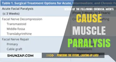 Chemical Agents Inducing Muscle Paralysis: A Comprehensive Overview