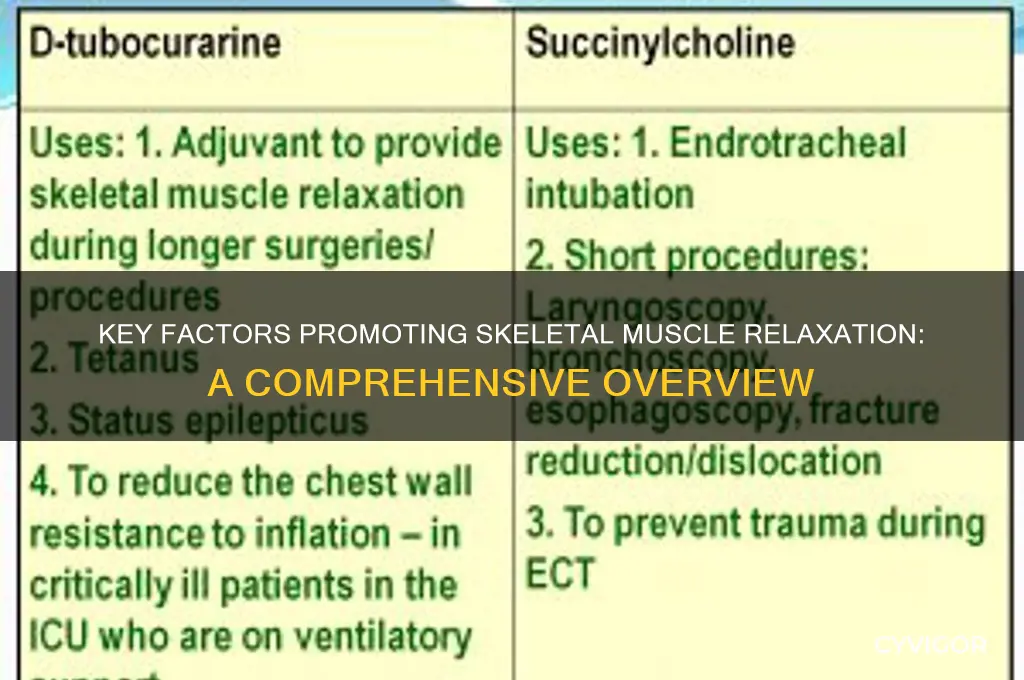 which of the following contributes to skeletal muscle relaxation