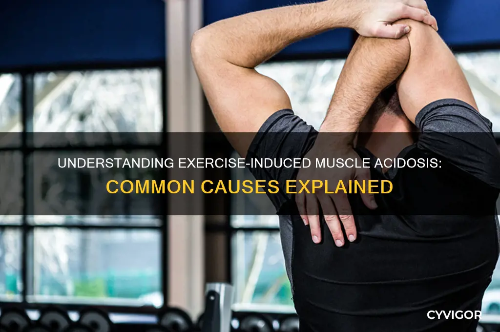 which of the following could cause exercise-induced muscle acidosis