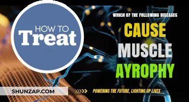 Muscle Atrophy Causes: Diseases Leading to Muscle Wasting Explained