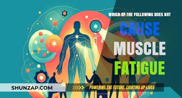 Understanding Muscle Fatigue: What Doesn't Contribute to Exhaustion?