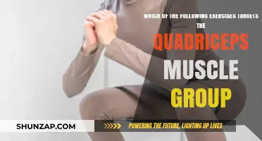Effective Quadriceps Exercises: Targeting and Strengthening Your Thigh Muscles