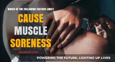 Unraveling Muscle Soreness: Key Factors Behind Post-Workout Discomfort
