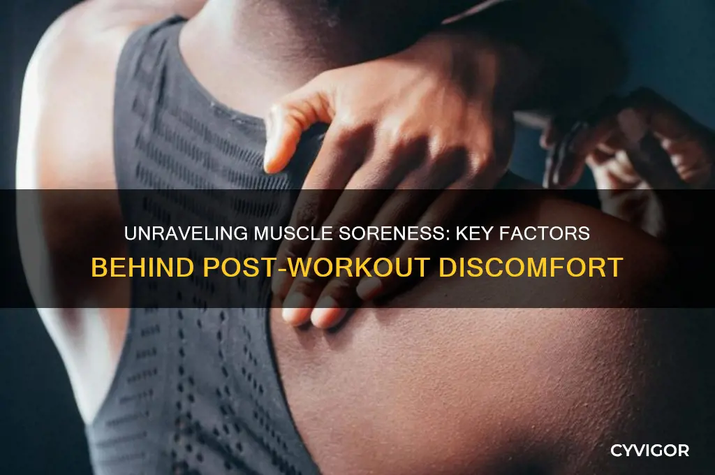 which of the following factors likely cause muscle soreness