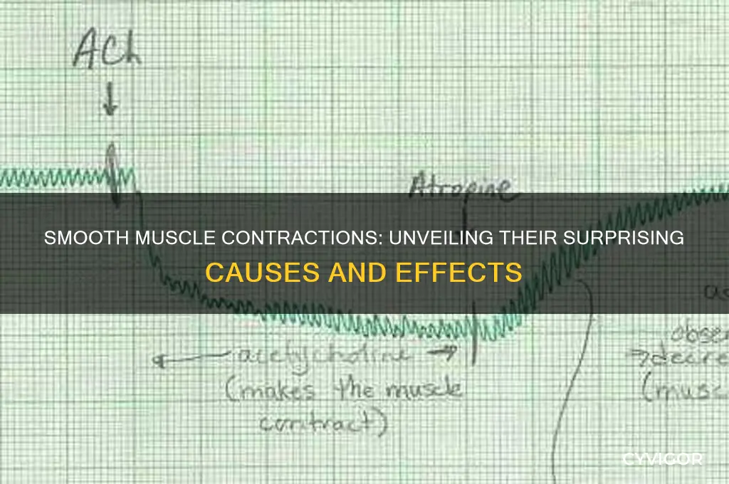 which of the following is caused by smooth muscle contraction