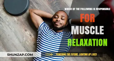Muscle Relaxation: Unveiling the Key Factors Behind Tension Relief