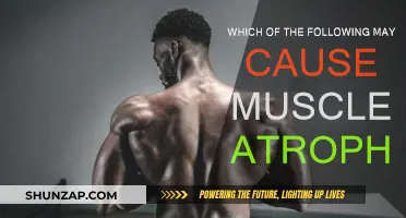 Factors Leading to Muscle Atrophy and How to Prevent It