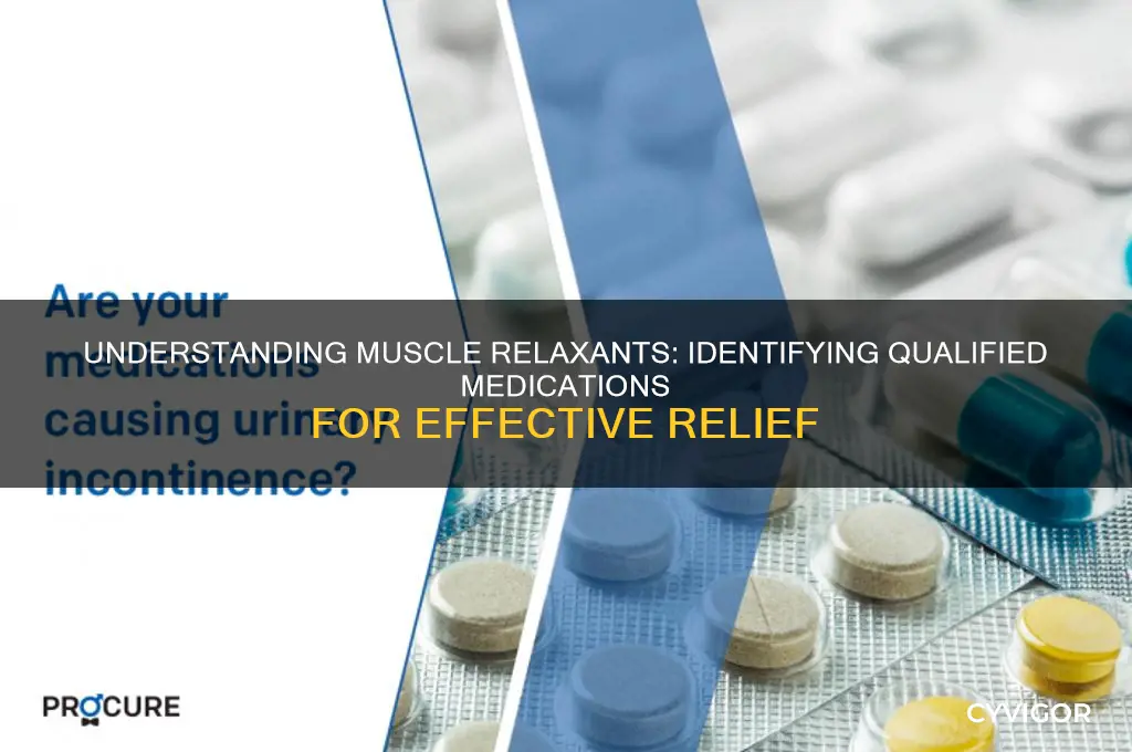 which of the following medications is qualified as muscle relaxant