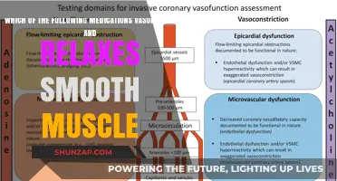 Medications That Vasodilate and Relax Smooth Muscle: A Comprehensive Guide