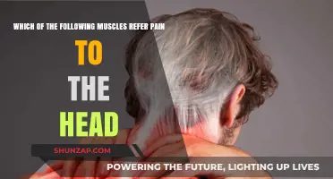 Muscles That Cause Head Pain: Uncovering the Surprising Triggers