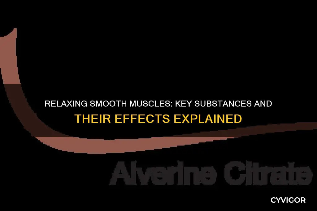 which of the following relaxes smooth muscles