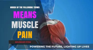 Understanding Muscle Pain: What Does Myalgia Really Mean for You?