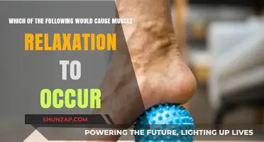 Understanding Muscle Relaxation: Key Factors and Triggers Explained