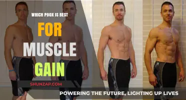 P90X for Muscle Gain: Which Program Builds Strength Fastest?