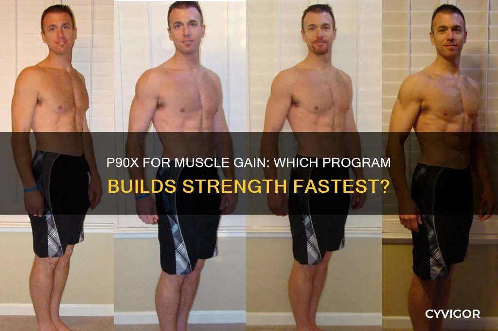 which p90x is best for muscle gain