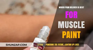 Best Pain Reliever for Muscle Pain: Top Options and How to Choose