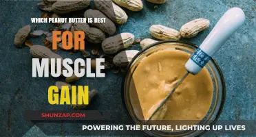 Best Peanut Butter for Muscle Gain: Top Picks and Benefits