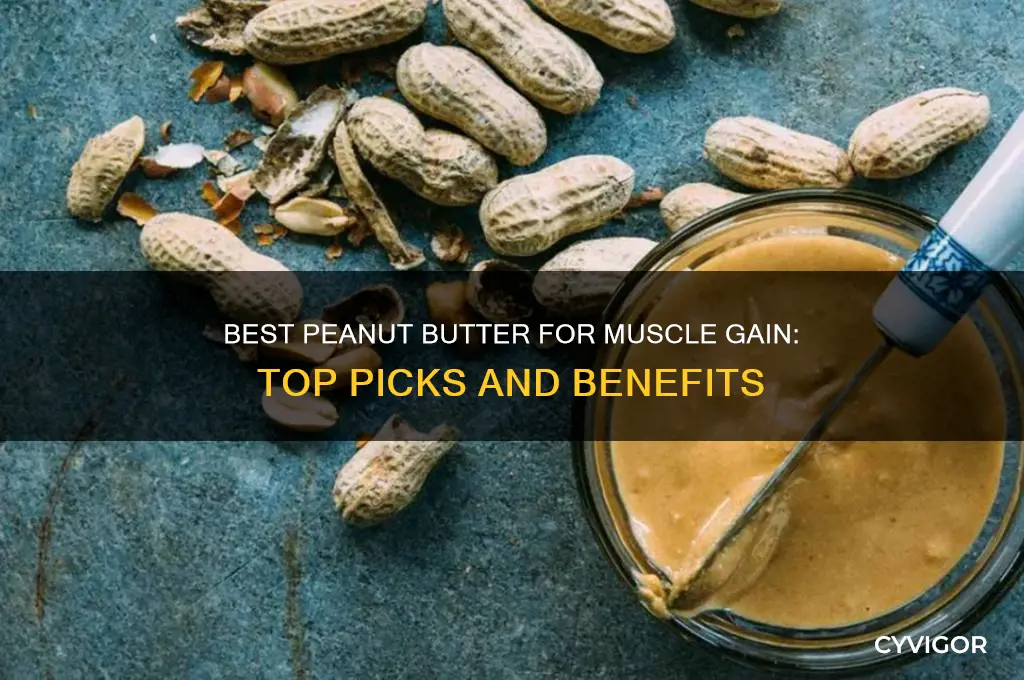 which peanut butter is best for muscle gain
