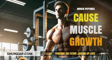 Unlocking Muscle Growth: Key Peptides for Strength and Size