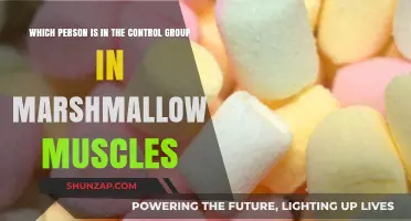 Understanding the Control Group in the Marshmallow Muscles Experiment