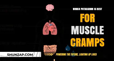 Potassium Power: Which Type Best Relieves Muscle Cramps?