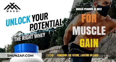 Top Muscle-Building Powders: Which One Fuels Your Gains Best?