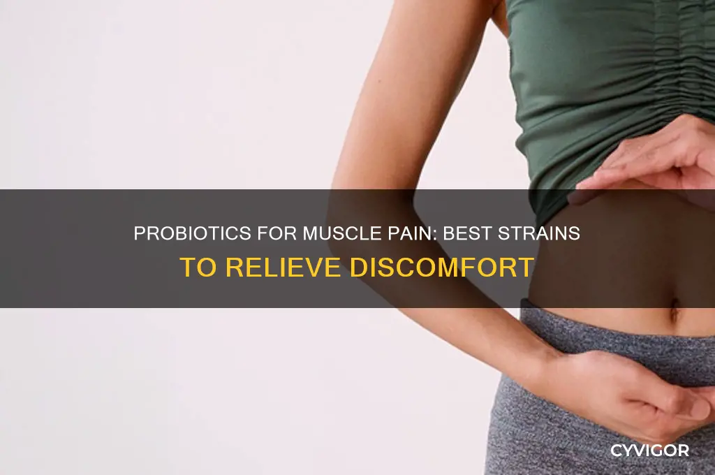 which probiotics for muscle pain