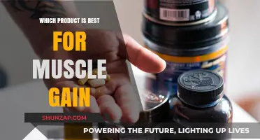Top Muscle-Building Supplements: What Works Best for Gains?