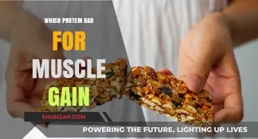 Best Protein Bars for Muscle Gain: Top Picks and Tips