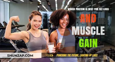 Optimal Protein Choices for Fat Loss and Muscle Gain