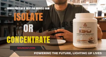 Isolate vs Concentrate: Which Protein Powers Muscle Gain Best?
