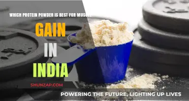 Top Muscle-Building Protein Powders in India: A Comprehensive Guide