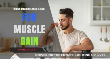 Top Protein Shakes to Fuel Muscle Growth and Recovery