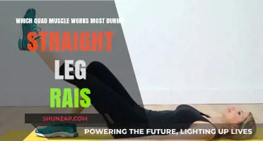 Maximizing Quad Activation: Which Muscle Dominates Straight Leg Raises?